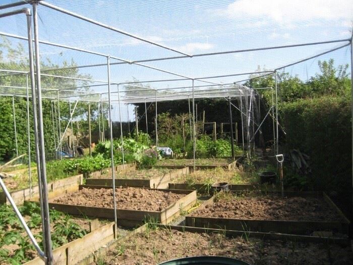 DIY galvanised fruit and vegetable cage